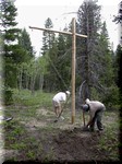 t_bear pole 4408.jpg